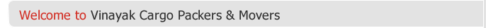 Top Packers Movers in Gujarat Vinay-Cargo-Packers_35